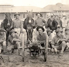 WWI Army Soldiers Field Artillery Gun Mule Team Real Photo Postcard RPPC