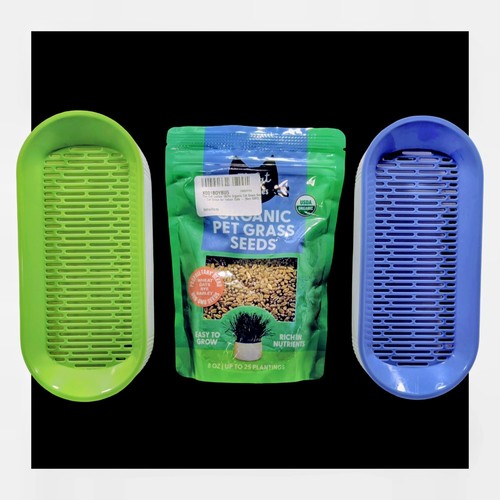 CAT GRASS Growing Set SEEDS + 2 PLANTERS Blue & Green HYDROPONIC