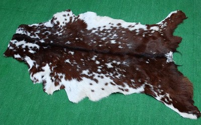 Luxus Ziegenfell Teppich Haar auf Fläche Teppich Größe 34''x22'' Tierleder Ziegenfell 3717
