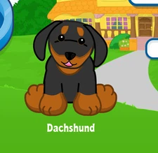 Webkinz Dachshund Virtual PET Adoption Code Only Messaged Webkinz Dachshund Dog!