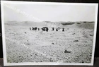 WW2 Egypt - Luxor  a native Funeral -1944 Airman's Photo 8.5 by 6cm