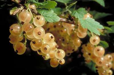 Voici Le Nouveau Billet De 50 U20ac En Circulation Ce Mardi - Le Parisien