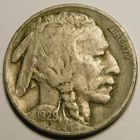 1929 D Buffalo Nickel F-Details  "Actual Coin Pictured- NOT an Acid Date"