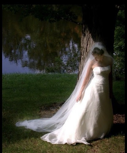 Lea-Ann Belter Ivory Strapless Silk Lace Beaded A-line Gown, Train