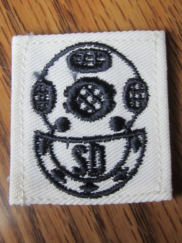 WWII US Navy SCUBA  DIVER, Sleeve Rate Patch Distinguishing Mark DM, USN
