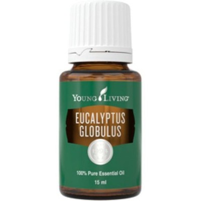 Young Living Eucalyptus Globulus Ätherisches Öl 15 ml
