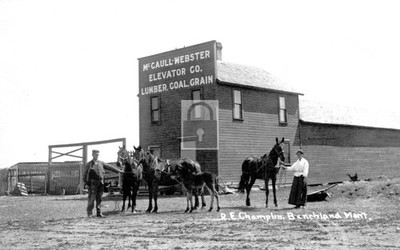 McCaull Webster Elevator Co Lumber Coal Benchland Montana MT - Reprint