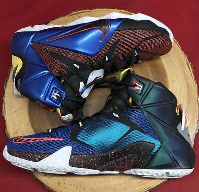 ⚫︎レブロン　NIKE LEBRON XII SE What The Nike LeBron 12 SE What The for Sale | Authenticity