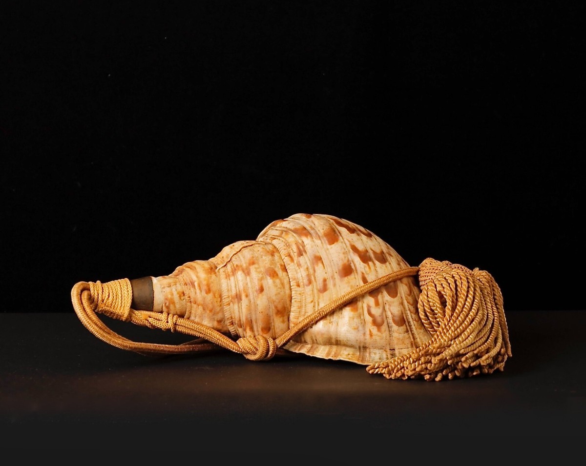 トランペット300 貝田ルアー Trumpet300