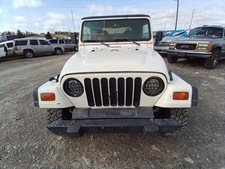 Wrangler 1998 Battery Tray 12834041