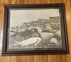 Vintage Faithful St. Bernard Dog Picture Guarding Sleeping Child
