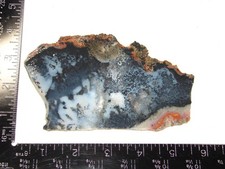 Lovely Black & Red Dendritic Plume Agate Slab - 141g - Mexico - Old Material