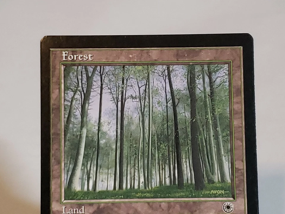 MTG Forest Portal 206 Regular Land Magic - Image 2 of 4