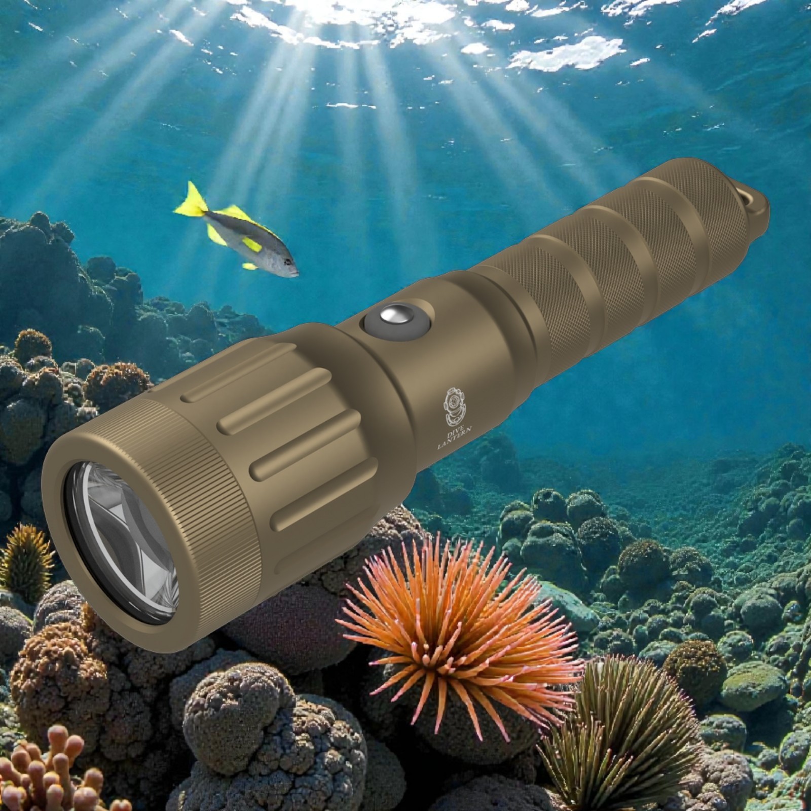 Dive Lantern Focus 3000 Dive Light Beam Angle 11-70 degree 330ft Bronze New