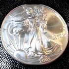 2005 Silver Eagle Coin ~ DONT WAIT ON THIS ONE ~ Prices are Going UP! BUY NOW!!!