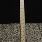 Picture 7 of 7