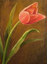 Tulip Flower ORIGINAL HANDMADE OIL PAINTING ON CANVAS Realism Still Life 9 x 12