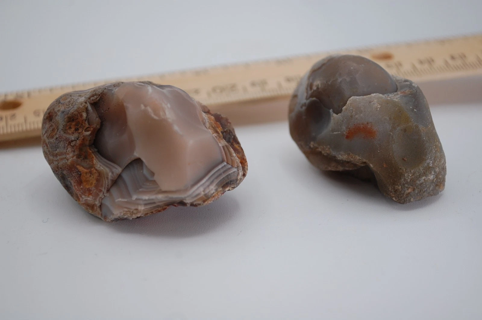 (2) LAKE SUPERIOR AGATES PEELERS SMALL 3.9 OZ TOTAL
