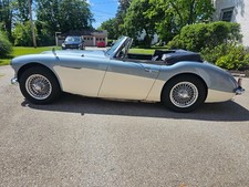 1964 Austin-Healey 3000 for Sale
