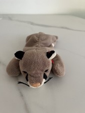 Ty Beanie Babies Canyon the Cougar, Year 1998, May 29th
