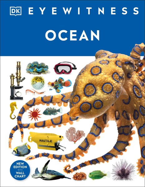 Ocean | DK | Buch | DK Eyewitness | Gebunden | Englisch | 2021-image