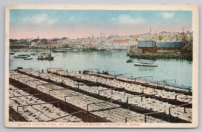 Flocken Trockenfisch Gloucester Kai Masse 1910er Jahre