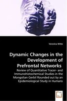 Veronica Witte | Dynamic Changes In The Development Of Prefrontal Networks