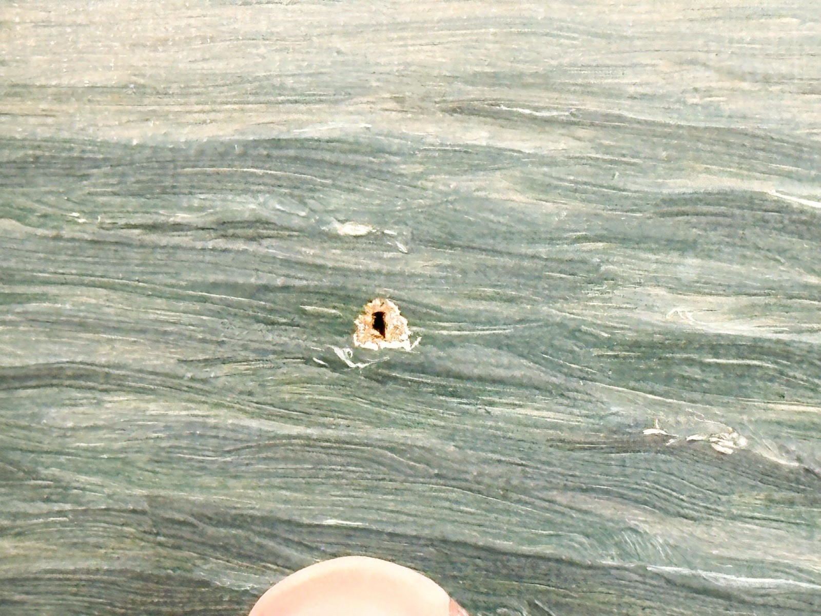 Picture 7 of 17