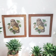 Barred Owl Tile Trivet Wood Framed Decor 7.5" Hang Or Lay Flat USA (2) EUC