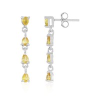 Cavill Ohrringe Damen 1,69Ct Gelber Ceylon Saphir 925 Silber Platin