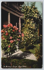 Postcard Roses House Portland Oregon Unposted