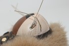 Bild 11 von 12
