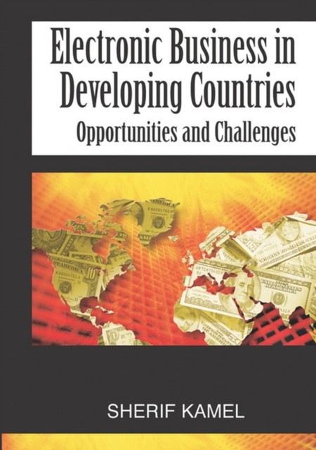 Electronic Business in Developing Countries: Opportunities and  HARDBACK