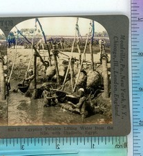 Egyptian Fellahin Lifting Water Nile Shadoofs Egypt Keystone Stereoview
