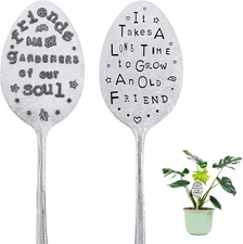 2 Packs Garden Marker Friendship Gift, Metal Silver Spoon Plant Markers, Humor P