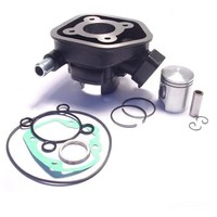 Zylindersatz Standard Grauguss FüR Peugeot Speedfight 50 2 LC 2T DD 2001-2009