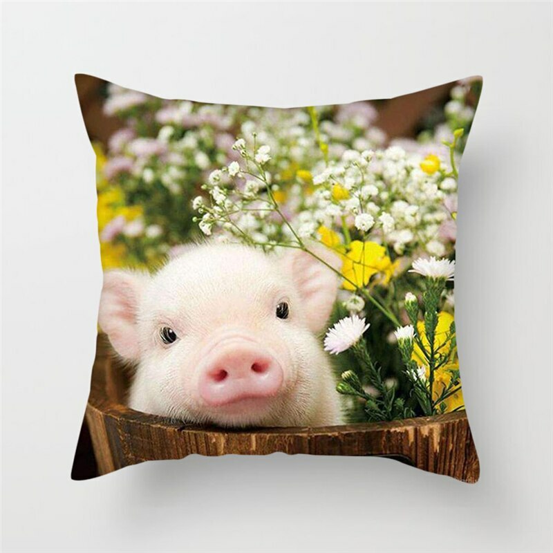 pig cushion