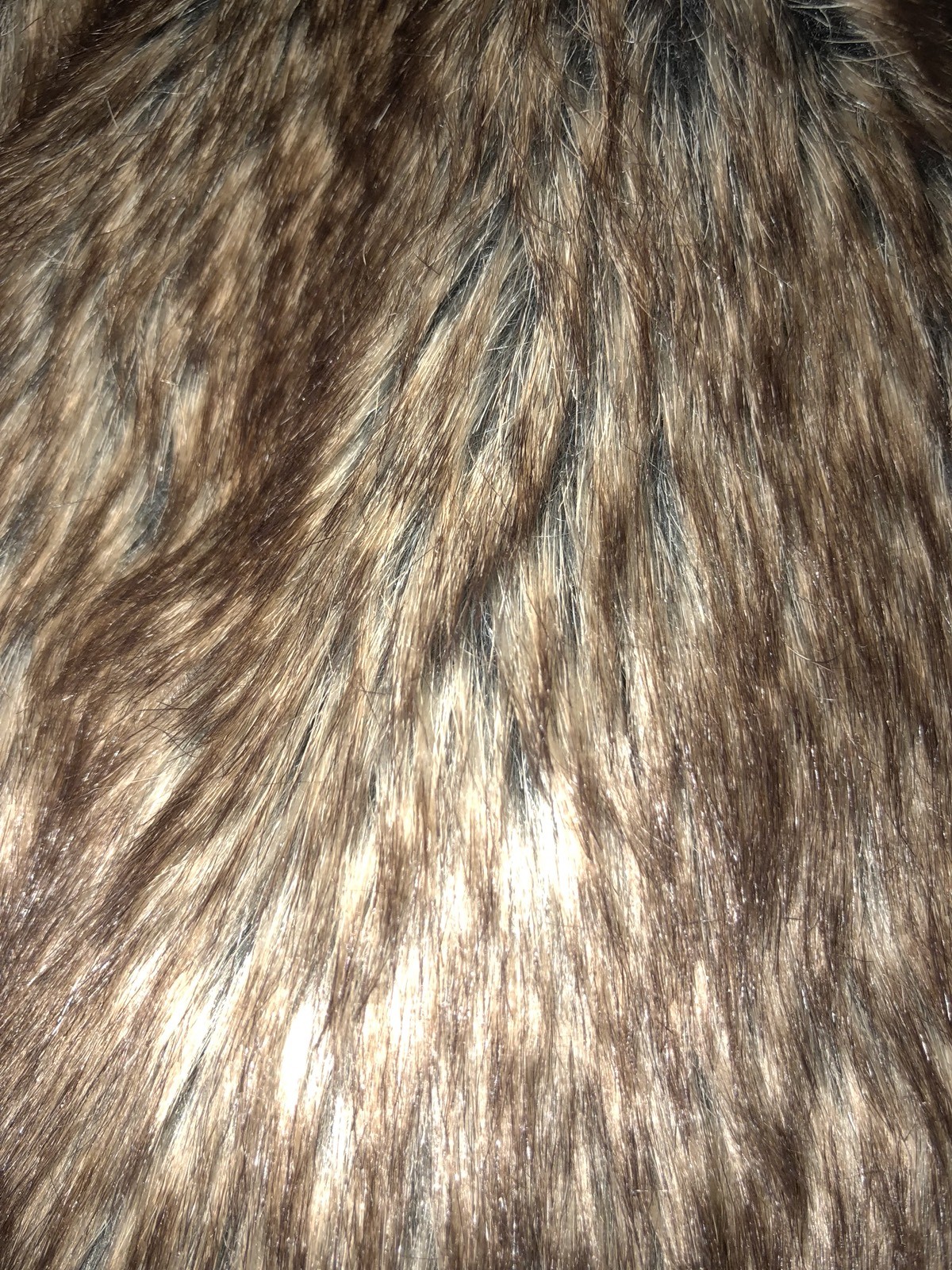 Picture 12 of 12