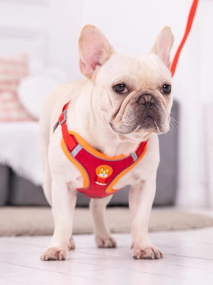 Dog Harness Set No Pull Adjustable Reflective Breathable Harness French Bulldog