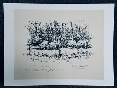 Diana Armfield. SCHAFWEIDE. Royal Academy Print. ungerahmt - selten