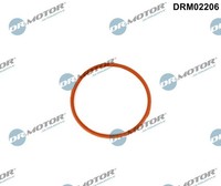 Dr.Motor Automotive DRM02206 Dichtung, Drosselklappenstutzen For Volvo