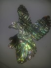 Indigenous Carved Abalone Eagle — photo 2