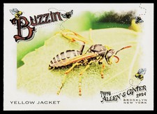2024 Topps Allen & Ginter Yellow Jacket Buzzin' #BUZ-13 BASEBALL