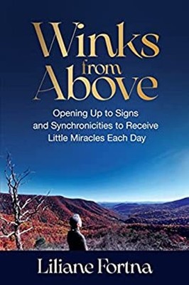 Winks from Above Paperback Liliane Fortna