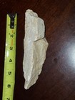 Chrinoid Fossil in Rock Matrix Specimen with Circular Impression, Approx. 6"x 1" — photo 4