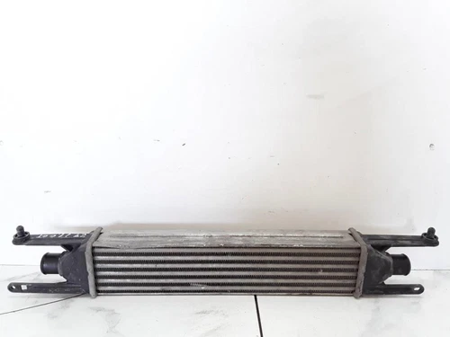 866452000 Intercooler para FIAT GRANDE PUNTO (299) VAN Active 2007 1093664 - Imagen 1 de 9