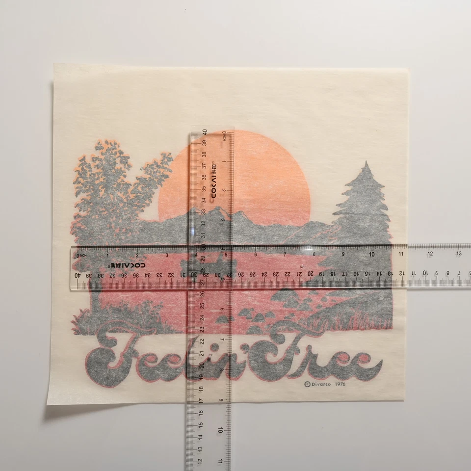 Transferencia de calor vintage de los años 70 | "Feelin' Free" | Camiseta gráfica NOS planchada Foto 2 de 4