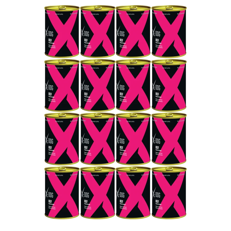 Hundefutter Nassfutter Hund 16x 800g 100% mit Rind Lachs Getreidefrei X-DOG - Bild 3 von 4