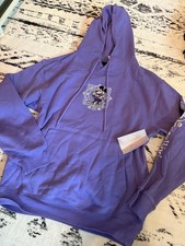 Disney 100 Year Anniversary Hoodie Sweatshirt BRAND NEW S 