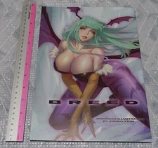EISHUN FUJII VECTOR SCAN Darkstalkers Morrigan Aensland Fan Art Book BREED C105